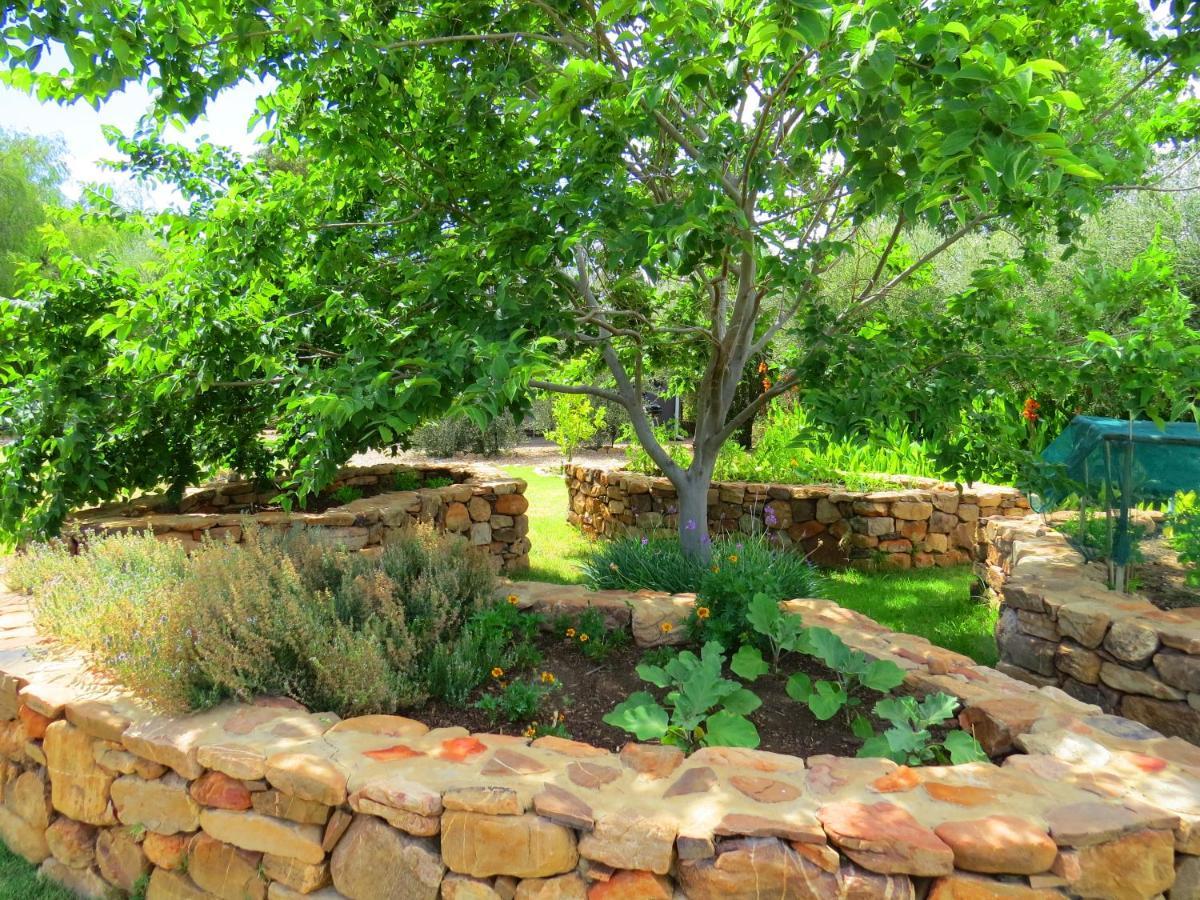 Ferienwohnung Olive Grove Pip Prince Albert Exterior foto